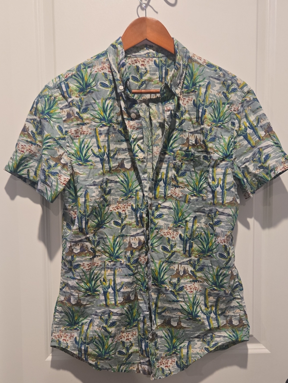 Short-Sleeve Desert Cactus Print Button-Down Shirt - Green/Blue